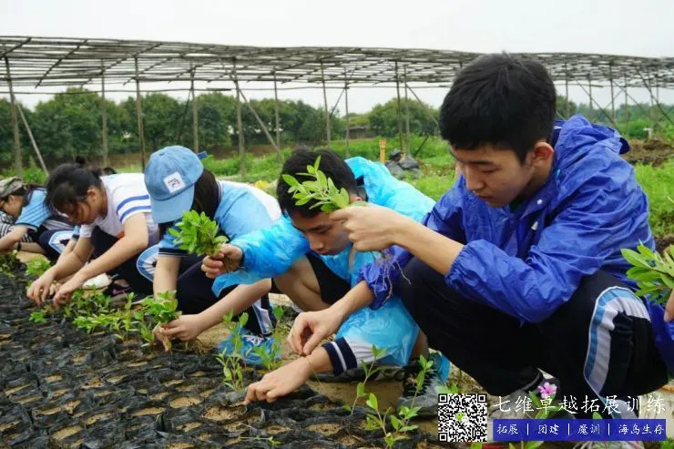 篮球训练中增强自信的心理技巧_2